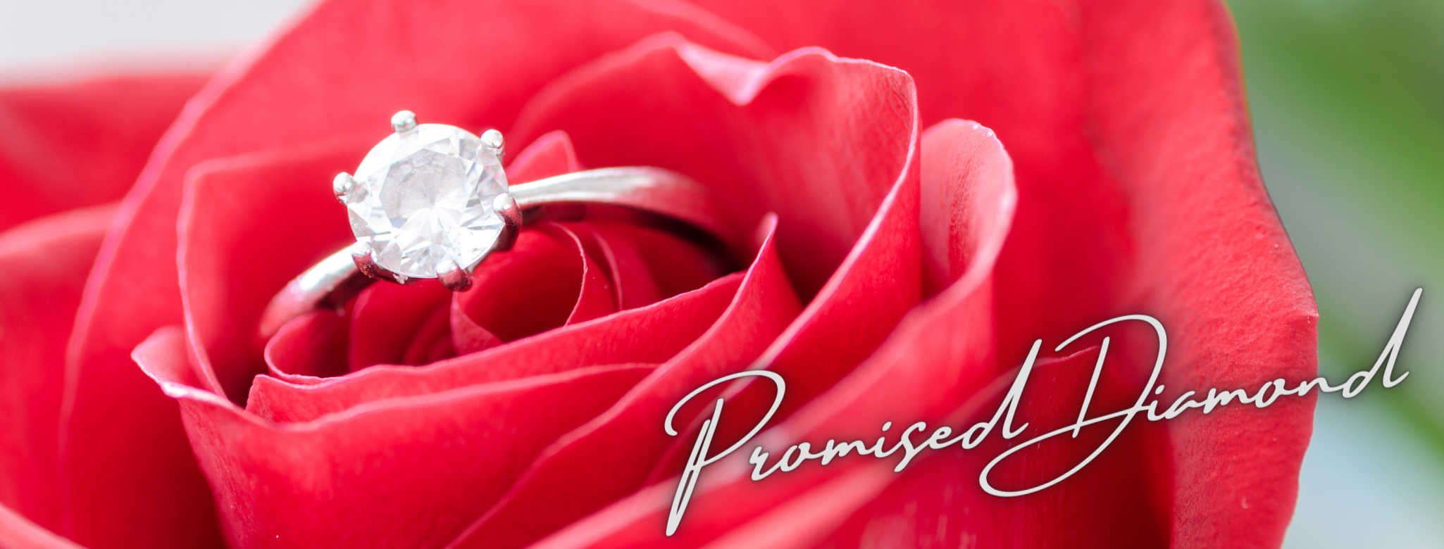 Promised Diamond人間用